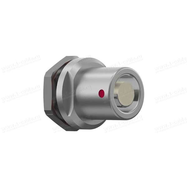 G4AF1C-P19QC00-0000 — общий вид
