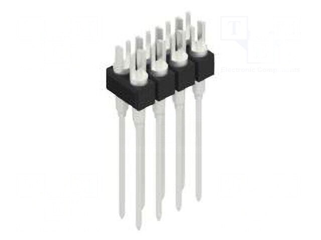 10041705